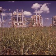 An image of pipes and smokestacks stretching up into a blue sky from a large field of grass.