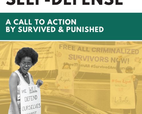 Cover image of the "Defending Self-Defense" report