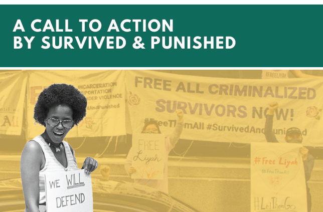 Cover image of the "Defending Self-Defense" report