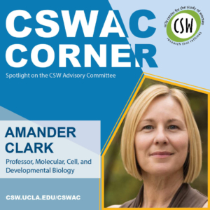 CSWAC Corner graphic for Amander Clark