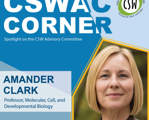 CSWAC Corner graphic for Amander Clark
