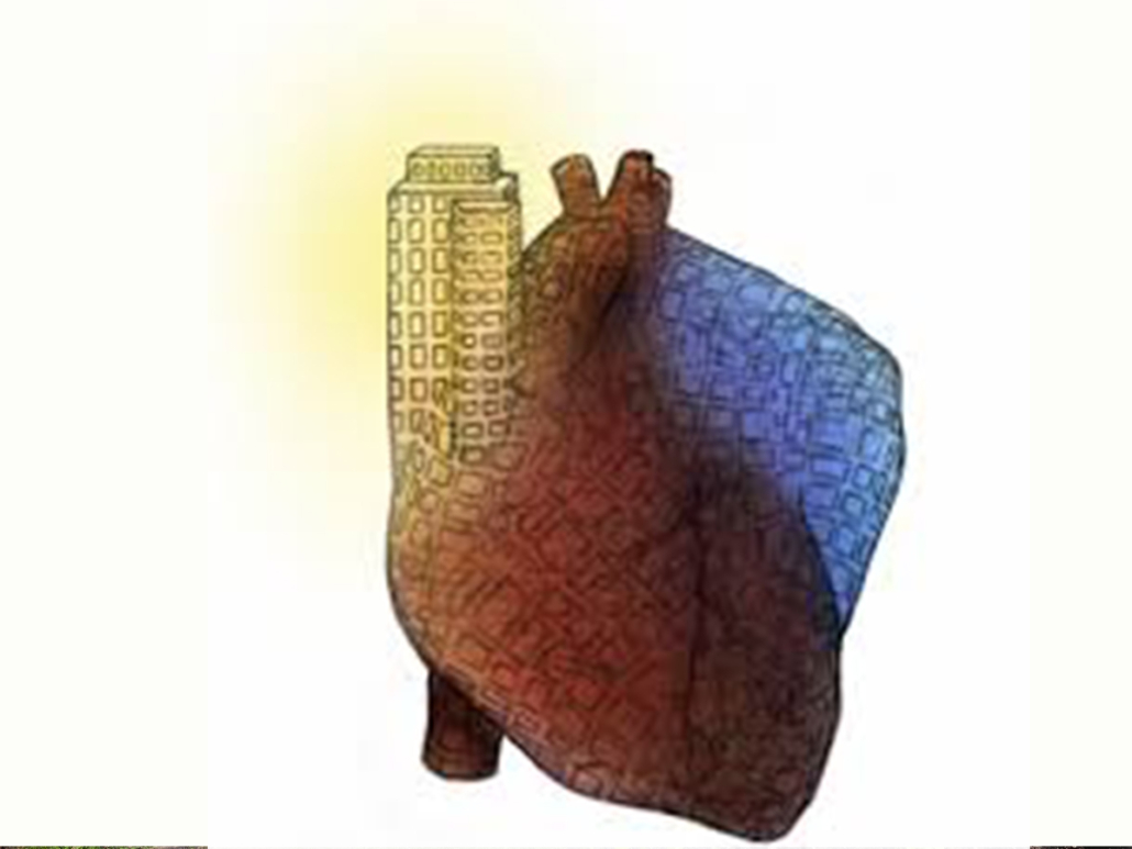 Bharat Venkat research