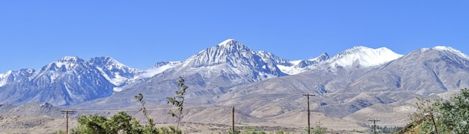 Feminist and Queer Ecologies