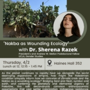 “Nakba as Wounding Ecology” with Dr. Sherena Razek flier