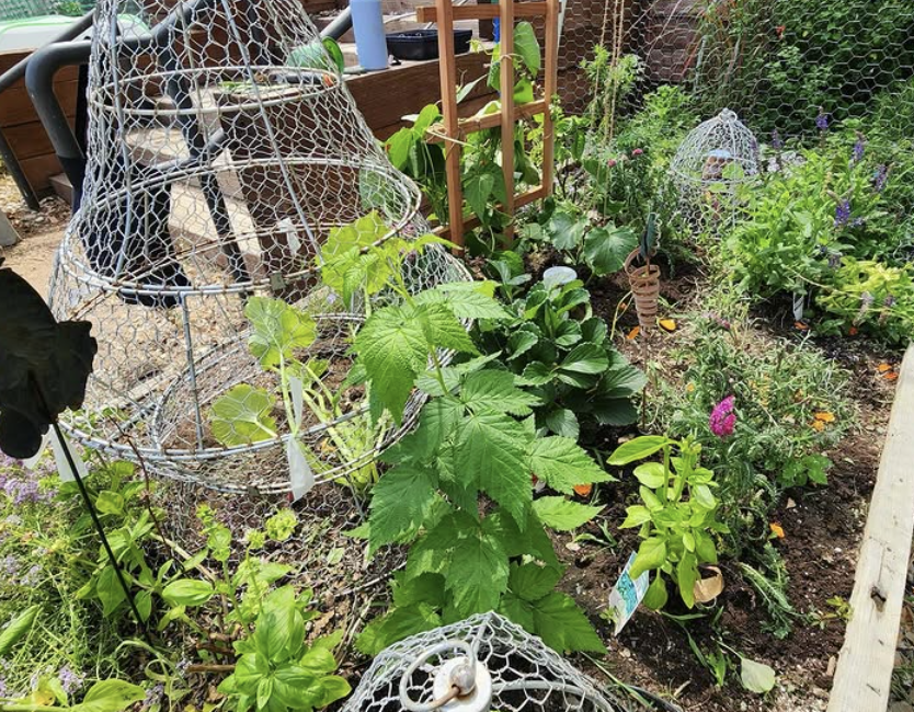 Garden full of greenery and gardening materials.
